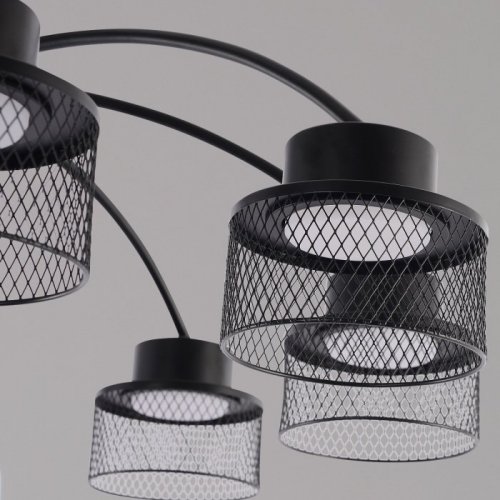 Потолочная люстра  68010-0.3-08 BK