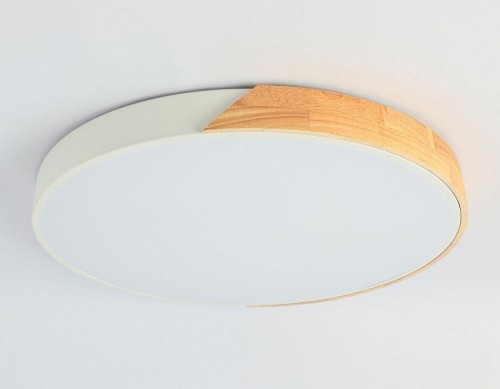 Потолочный светильник Ambrella light ORBITAL FZ1301