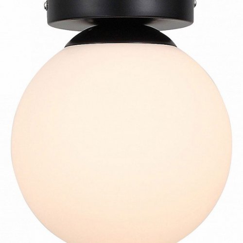 Настенно-потолочный светильник ST Luce Acini SL717.401.01