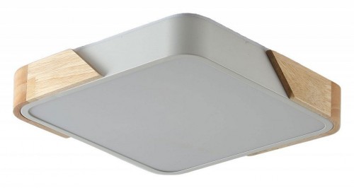 Потолочный светильник Zortes Alberro ZRS.01285.60 Потолочный светильник Zortes Alberro ZRS.01285.60