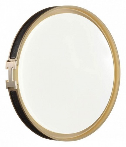 Настенно-потолочный светильник Sonex Favemo Black 7667/DL