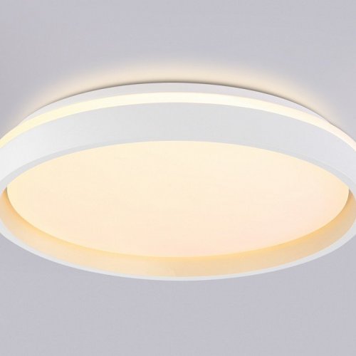 Накладной светильник Ambrella Light FZ FZ607