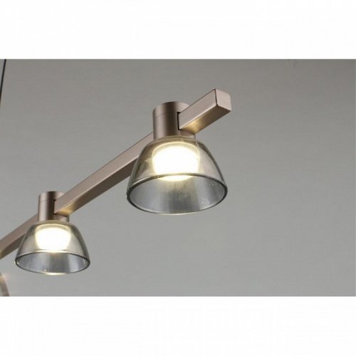 Подвесной светодиодный светильник Aployt Rezeda APL.788.03.06