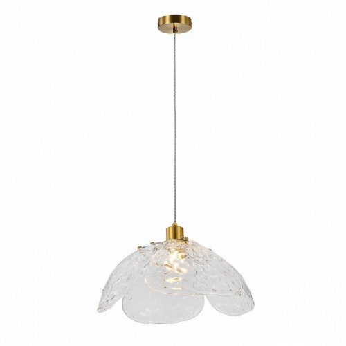 Подвесной светильник Indigo Amore 11051/1P Clear