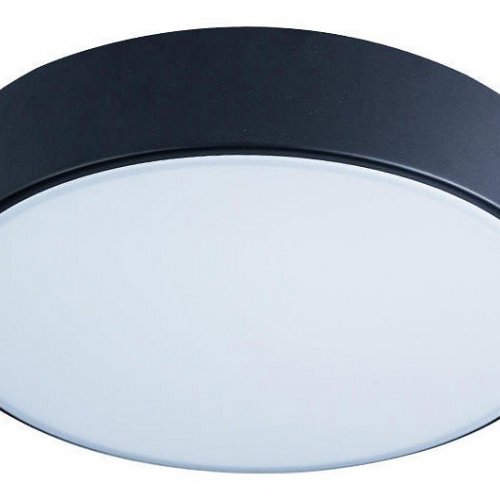 Потолочный светильник Loft IT Axel 10002/12 Black Потолочный светильник Loft IT Axel 10002/12 Black