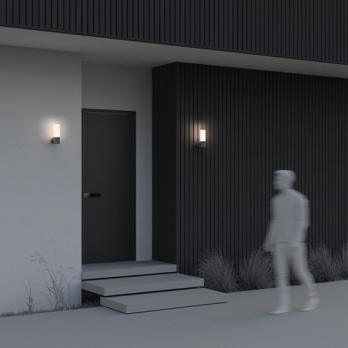 Настенный светильник Maytoni Outdoor O418WL-01GR