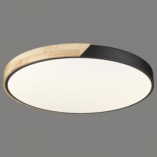 Потолочный светильник Velante 445-667-01 Потолочный светильник Velante 445-667-01