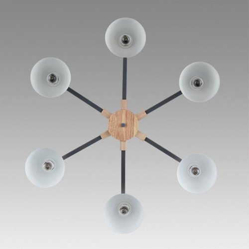 Потолочная люстра Lumion Colange 8096/6C Потолочная люстра Lumion Colange 8096/6C