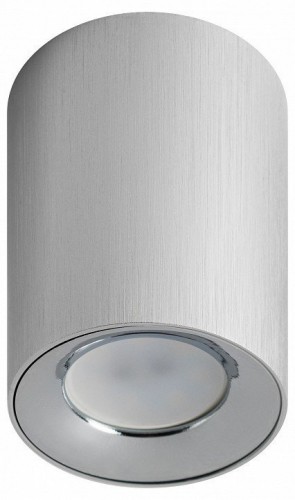 Потолочный светильник ЭРА OL1 GU10 SL/CH