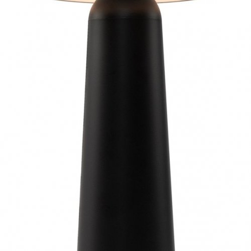 Интерьерная настольная лампа Freya Mushroom FR6109TL-L4B