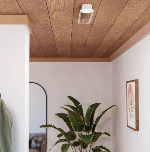 Настенно-потолочный светильник Eglo Collecorvino 902152