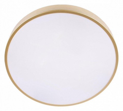 Потолочный светильник Loft IT Flims 10228/A