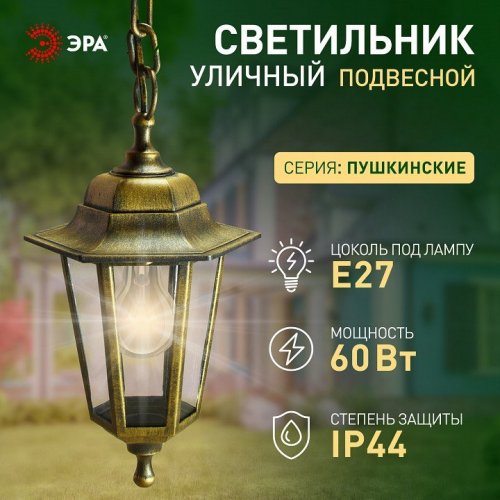 Подвесной светильник Эра  НСУ 06-60-001 бронза