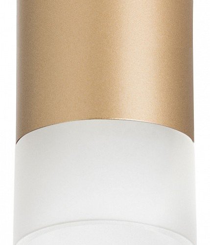 Точечный светильник Lightstar Rullo R349081