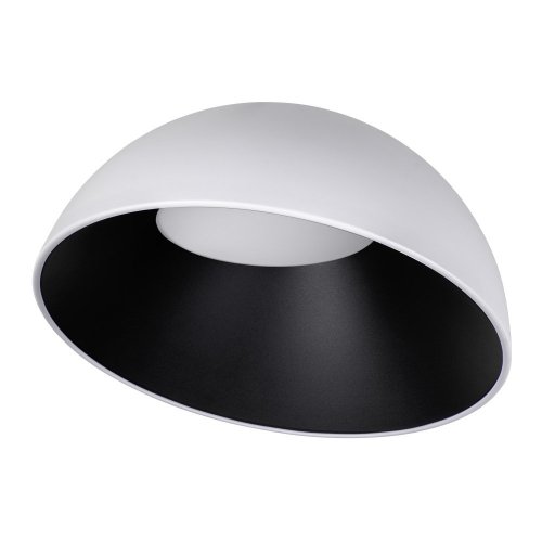 Потолочный светильник Egg 10197/500 WB Потолочный светильник Egg 10197/500 WB