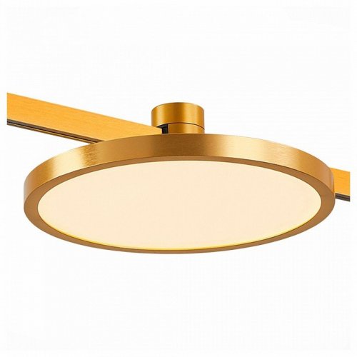 Трековый светильник ST Luce Farm ST818.246.12