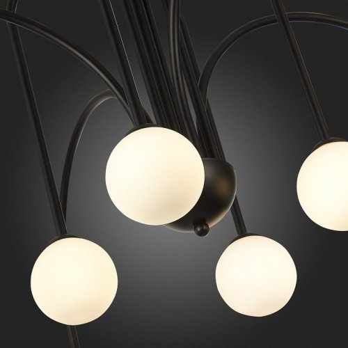 Потолочная люстра ST Luce Jineto SL1204.402.08 Потолочная люстра ST Luce Jineto SL1204.402.08