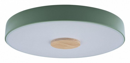 Потолочный светильник Loft IT Axel 10003/24 Green Потолочный светильник Loft IT Axel 10003/24 Green