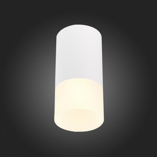 Потолочный светильник ST Luce ST100.512.01 Потолочный светильник ST Luce ST100.512.01