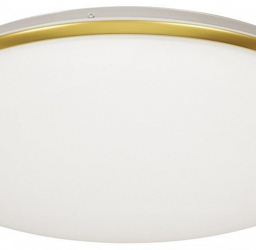 Настенно-потолочный светильник Sonex Lassa 3043/DL