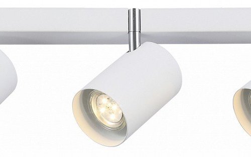 Настенно-потолочный светильник ST Luce Fanale SL597.501.03