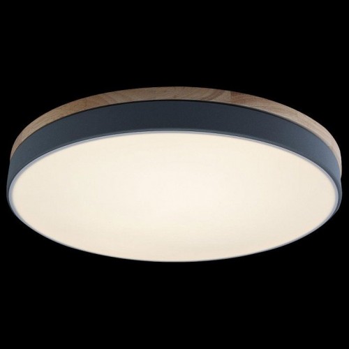 Потолочный светильник Loft IT Axel 10001/36 Grey