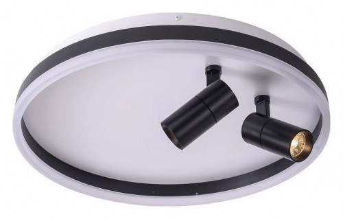 Потолочный светильник Zortes Raizy ZRS.1888.01