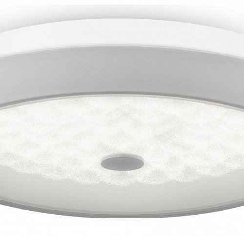 Накладной светильник Freya LED FR10012CL-L24W