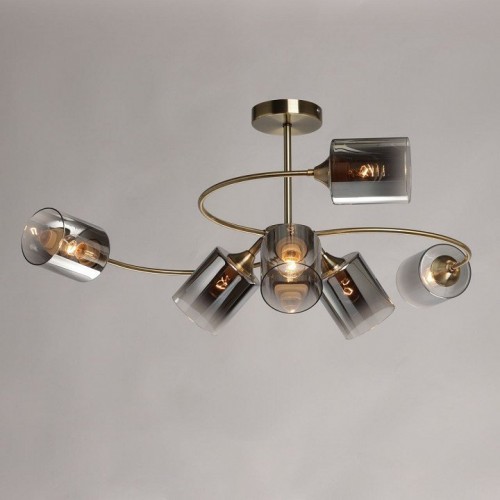 Потолочная люстра Вита 220014106