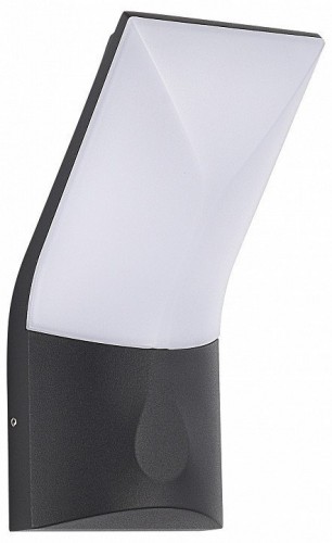 Настенный светильник уличный ST Luce Bright SL9543.701.01