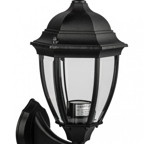 Настенный фонарь уличный Oasis Light ARSENAL S 91201S 04 Bl Настенный фонарь уличный Oasis Light ARSENAL S 91201S 04 Bl