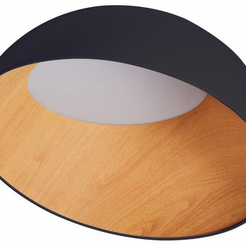 Потолочный светильник Zortes Baum ZRS.01243.07 Потолочный светильник Zortes Baum ZRS.01243.07