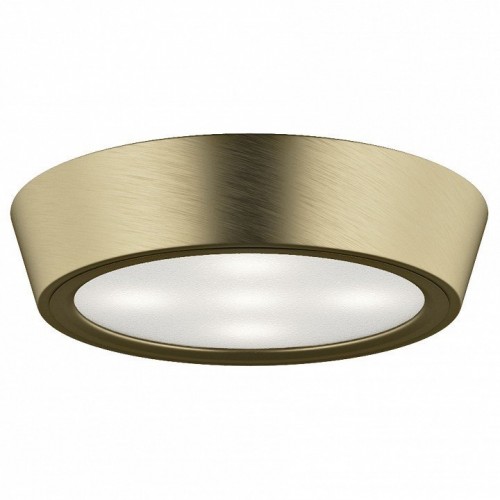 Настенно-потолочный светильник Lightstar Urbano Mini 214712 Настенно-потолочный светильник Lightstar Urbano Mini 214712