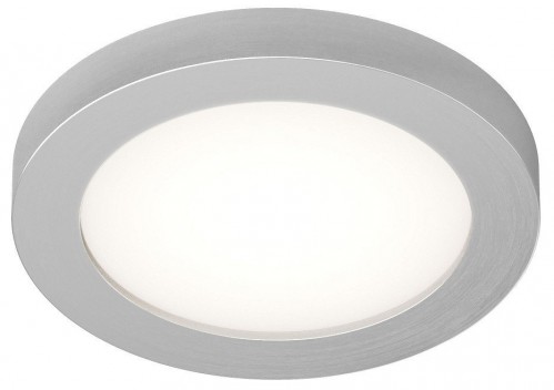 Влагозащищенный накладной светильник Denkirs DK3012-AL