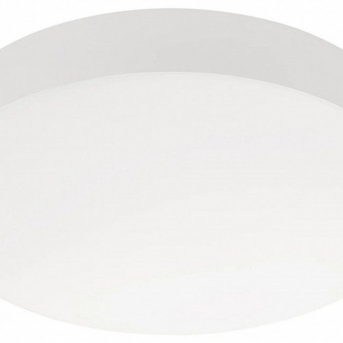 Накладной светильник Arlight IM-FLOWER-EMERGENCY 042563 Накладной светильник Arlight IM-FLOWER-EMERGENCY 042563