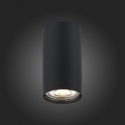 Потолочный светильник ST Luce ST110.407.01 Потолочный светильник ST Luce ST110.407.01