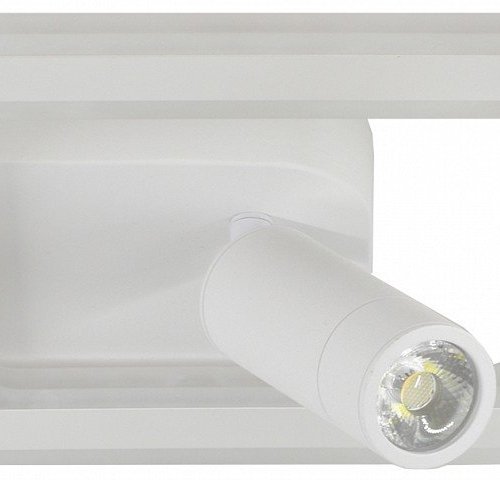 Накладной светильник Escada  20021SMA/01LED SWH