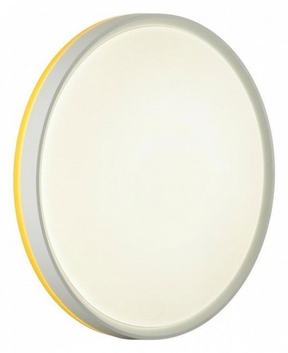 Настенно-потолочный светильник Sonex Kezo Yellow 7709/DL