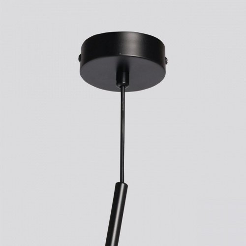 Подвесной светильник MW-Light Лоск 107010701 Подвесной светильник MW-Light Лоск 107010701