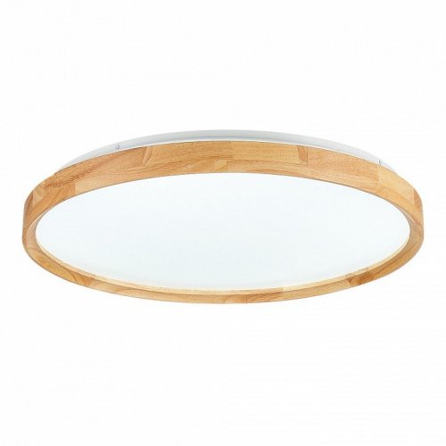 Потолочный светильник Evoluce Delia SLE201382-01