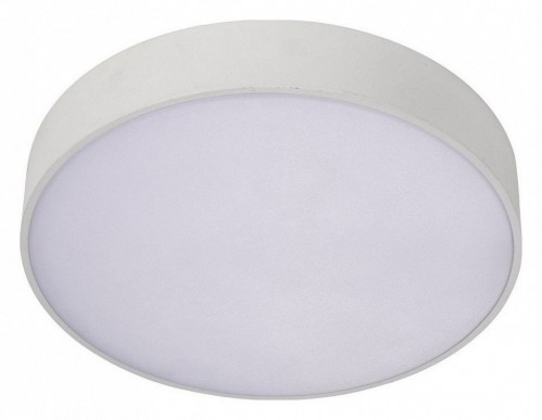 Потолочный светодиодный светильник Aployt Evon APL.0114.09.12 Потолочный светодиодный светильник Aployt Evon APL.0114.09.12