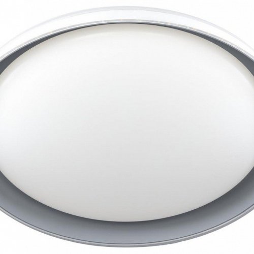 Накладной светильник Citilux MEGA CL752451G