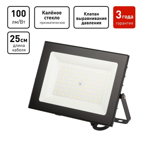 Прожектор уличный ЭРА LPR-06 LPR-062-0-65K-070