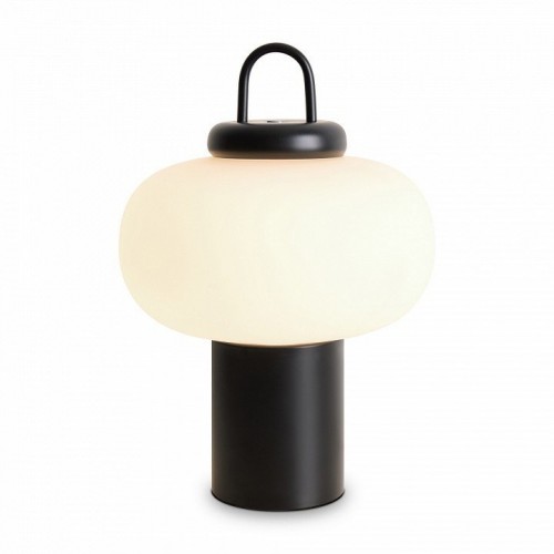 Интерьерная настольная лампа Freya Take FR6175TL-L10B