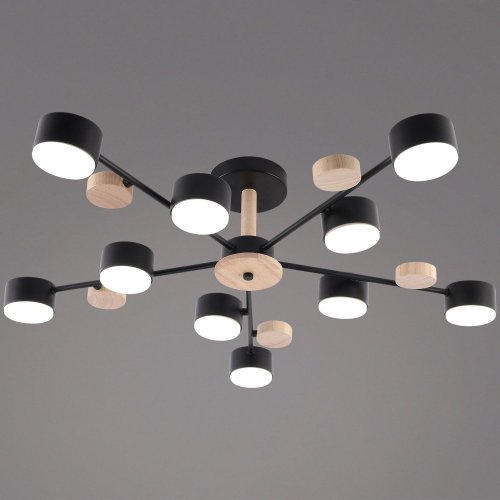Потолочная люстра Reluce 03758-0.3-10 BK+WOOD GX53