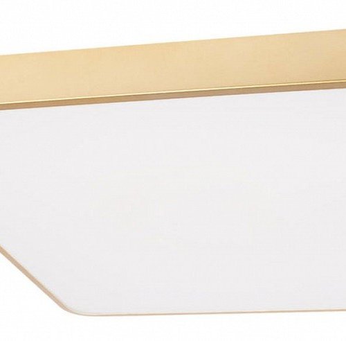 Потолочный светильник Loft IT Flims 10228/D