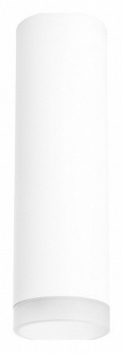 Точечный светильник Lightstar Rullo R649680 Точечный светильник Lightstar Rullo R649680