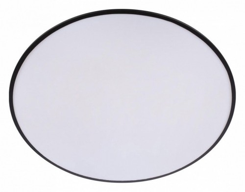 Потолочный светильник Loft IT Brim 10226 Black