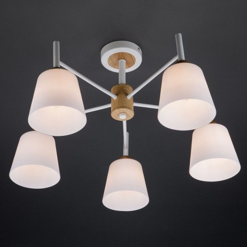 Потолочная люстра Eurosvet Fresco 70085/5 белый