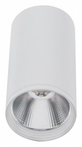 Накладной светодиодный светильник Kink Light Фабио 08570-10,01 Накладной светодиодный светильник Kink Light Фабио 08570-10,01